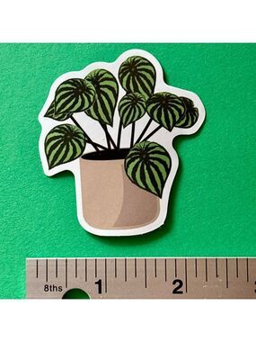 10/$10 Plant Aesthetic Sticker Waterproof  Vinyl Water Bottle Laptop Scrapbook